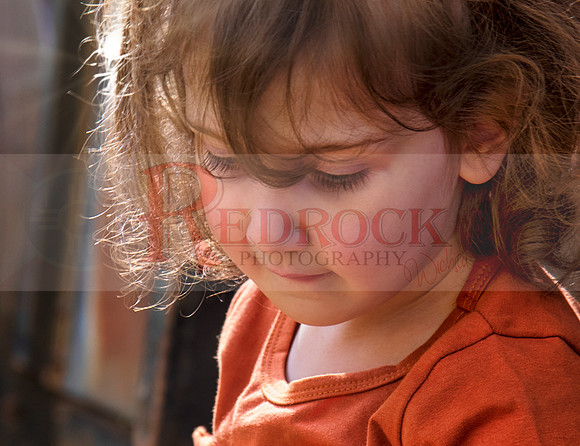 RedRock ICt #021