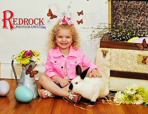 RedRock Photography, Nichole P. Conard