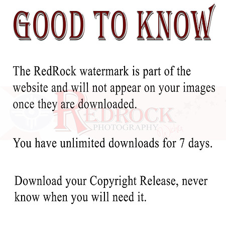 x. add to Downloads