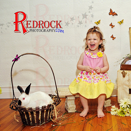 RedRock Photography, Nichole P. Conard