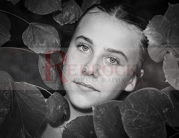 RedRock # 042