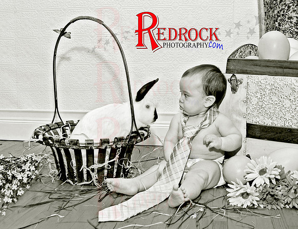 RedRock Photography, Nichole P. Conard