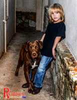 Horses, Dogs, Cats, & more