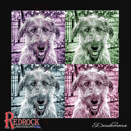 RedRock Pets 0119