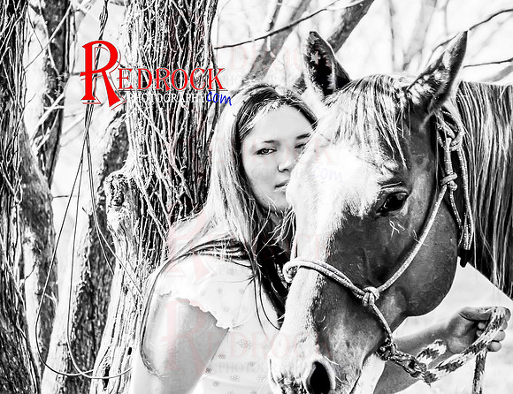 RedRock Pets 0152