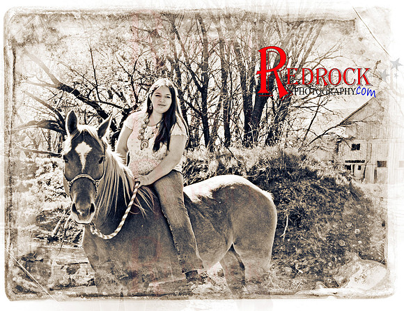 RedRock Pets 0155