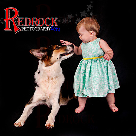 RedRock Pets 0173
