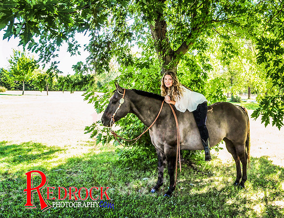 RedRock Pets 0179