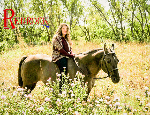 RedRock Pets 0181