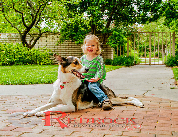RedRock Pets 0194