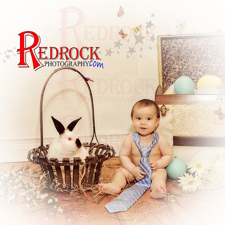 RedRock Photography, Nichole P. Conard