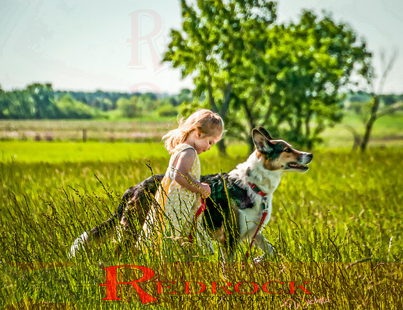 RedRock Pets 0213