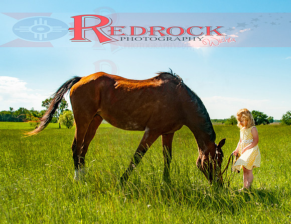 RedRock Pets 0215