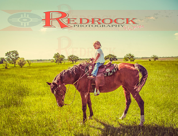 RedRock Pets 0216