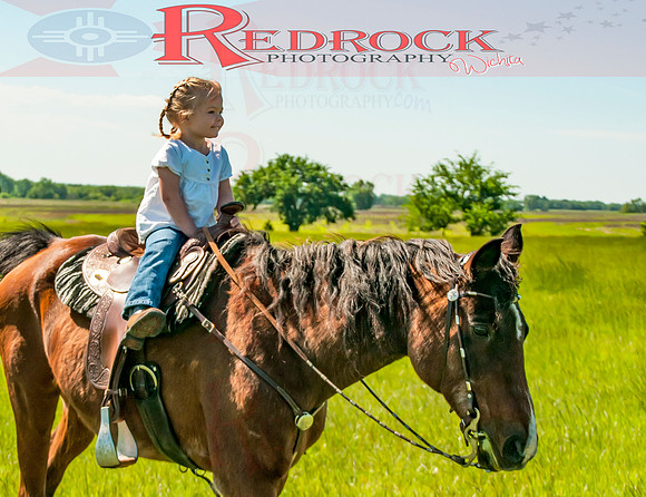 RedRock Pets 0217