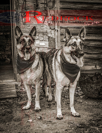 RedRock Pets 0261