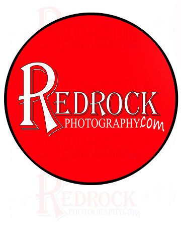 1.  2010 logo in circle