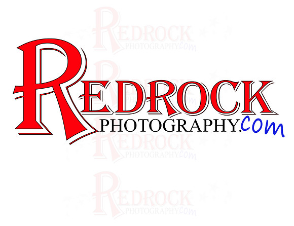 2010 LOGO Watermark in Full color copy