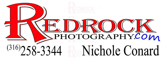 2010 Nichole Letterhead logo 1