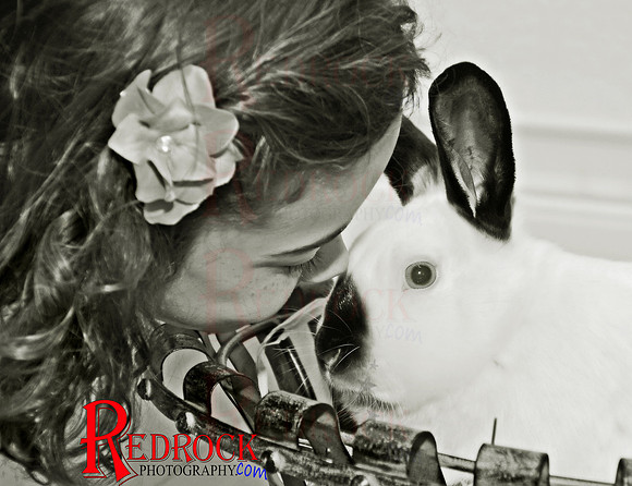 RedRock Photography, Nichole P. Conard