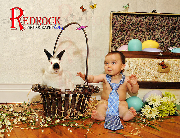 RedRock Photography, Nichole P. Conard