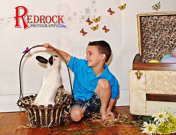 RedRock Photography, Nichole P. Conard