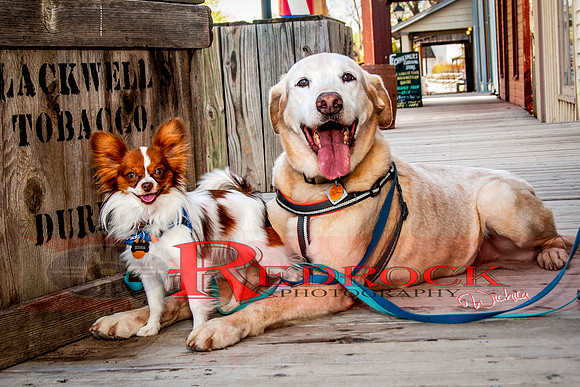 RedRock Pets 0281