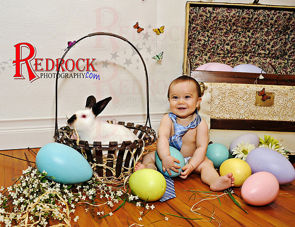 RedRock Photography, Nichole P. Conard