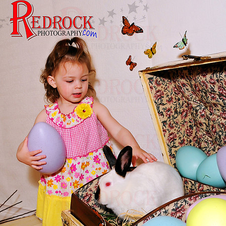 RedRock Photography, Nichole P. Conard