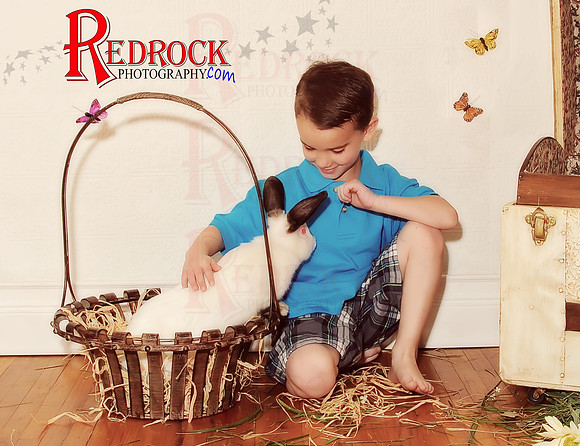RedRock Photography, Nichole P. Conard