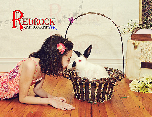 RedRock Photography, Nichole P. Conard