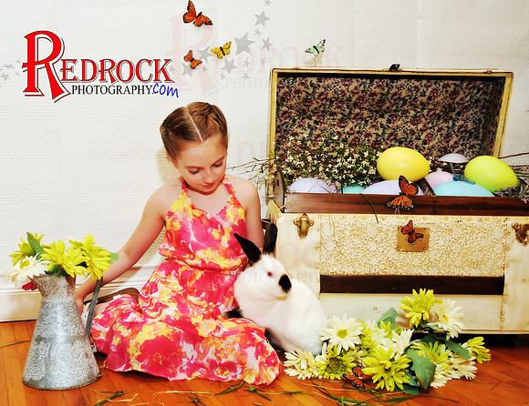 RedRock Photography, Nichole P. Conard
