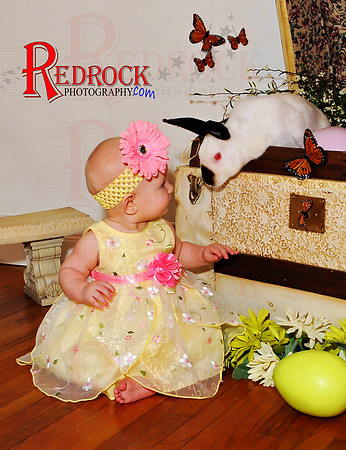 RedRock Photography, Nichole P. Conard