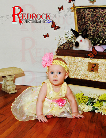 RedRock Photography, Nichole P. Conard