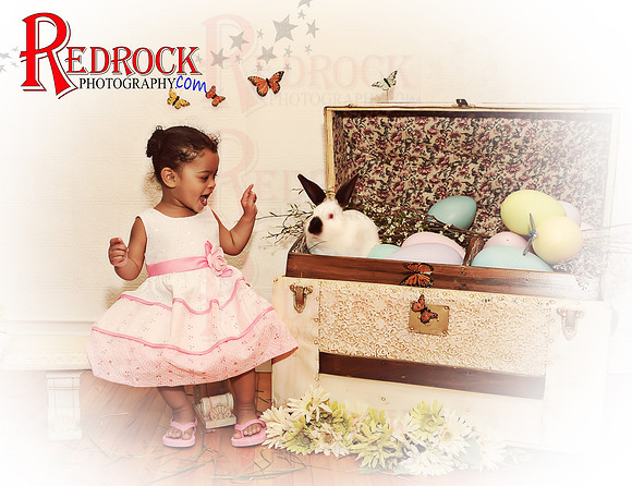 RedRock Photography, Nichole P. Conard