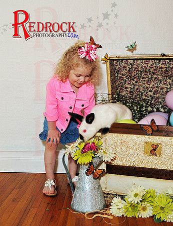 RedRock Photography, Nichole P. Conard
