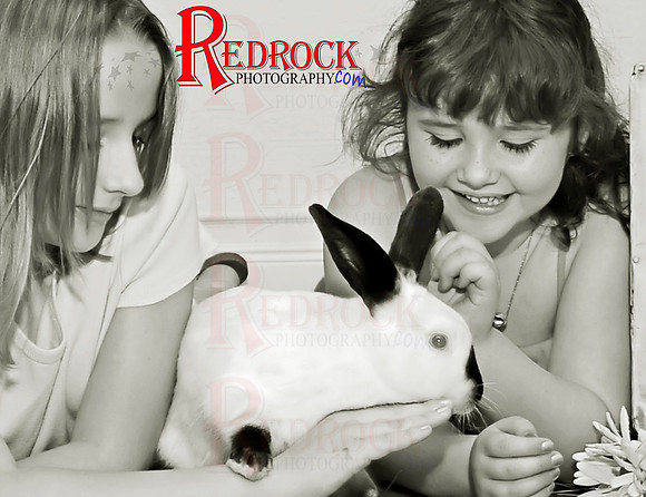 RedRock Photography, Nichole P. Conard