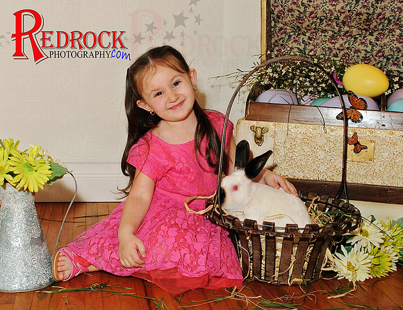 RedRock Photography, Nichole P. Conard