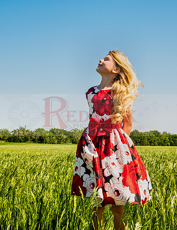 RedRockict # 029