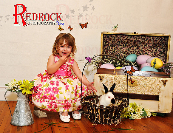 RedRock Photography, Nichole P. Conard